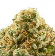 Pineapple Kush Autoflower 3 Samen