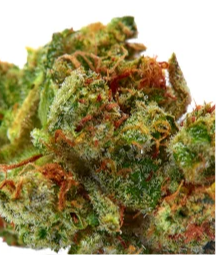 Sour Diesel Feminisiert 3 Samen