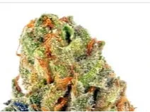 Bubblegum Auto 3 Samen
