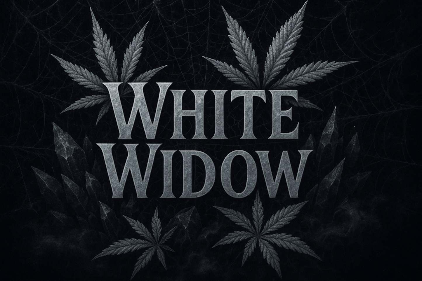 White Widow
