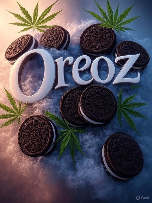 Oreoz feminisiert 3 Samen