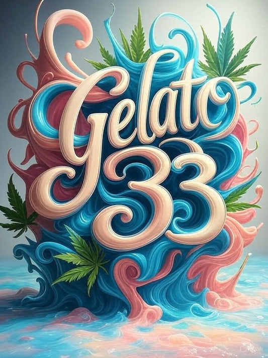 Gelato #33 feminisiert 3 Samen