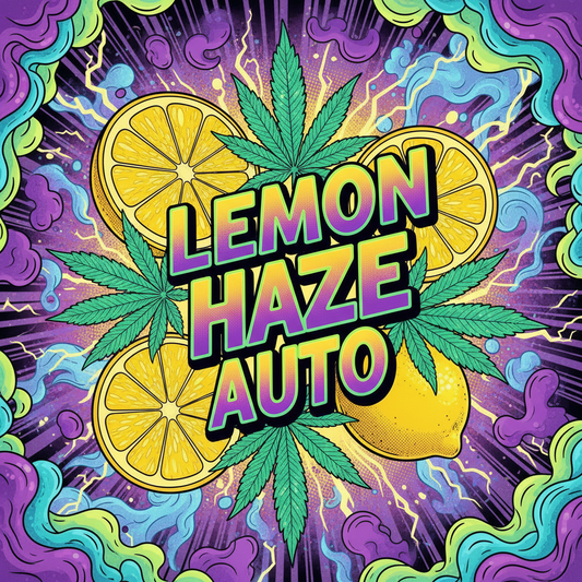 Lemon Haze Auto 3 Samen