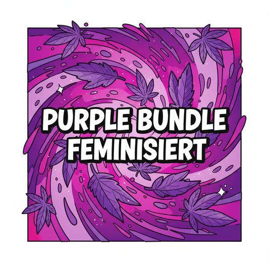 PURPLE BUNDLE FEMINISIERT 9 Samen