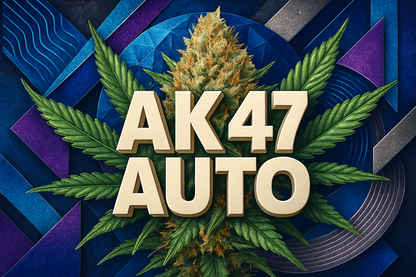 AK 47 Auto Geometric