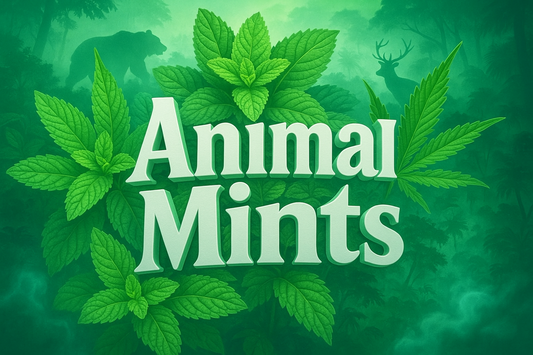 Animal Mints