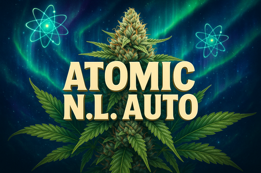 Atomic N.L. Auto Photorealistic