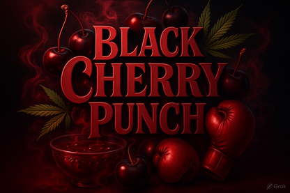 Black Cherry Punch Feminisiert Samen mit Kirsch-Aroma bestellen.