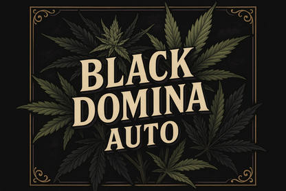 Black Domina Auto Classic