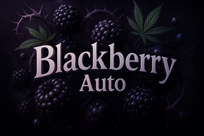 Blackberry Auto