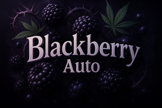 Blackberry Auto