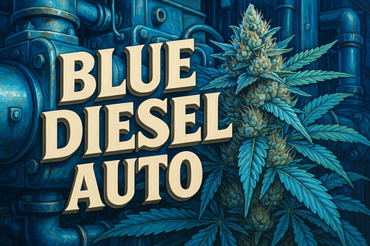 Blue Diesel Auto Photorealistic