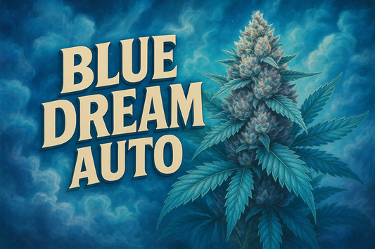 Blue Dream Auto Photorealistic