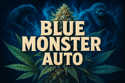 Blue Monster Auto