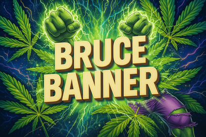 Bruce Banner - Hulk-Transformation