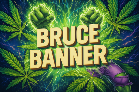 Bruce Banner - Hulk-Transformation