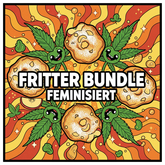 Fritter Bundle Feminisiert