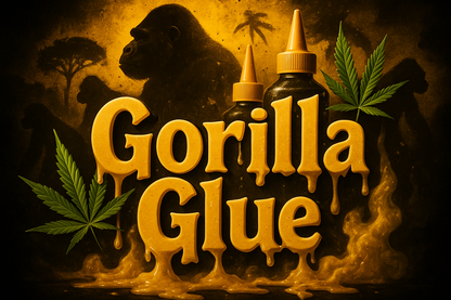 Gorilla Glue Feminisiert GG4 Cannabis Samen 3er Pack kaufen.