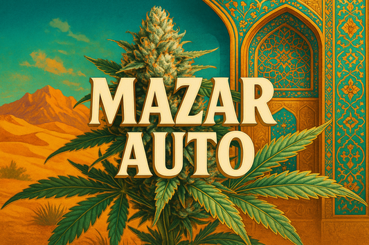 Mazar Auto