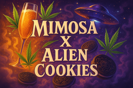 Mimosa X Alien Cookies