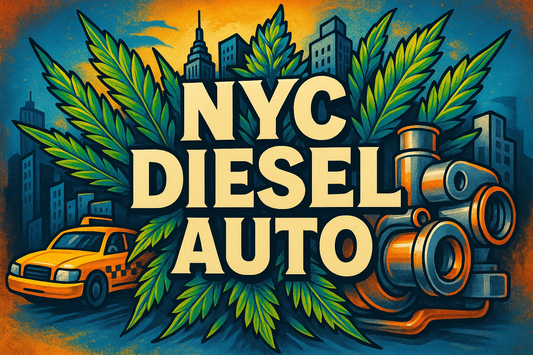 NYC Diesel Auto Colorful