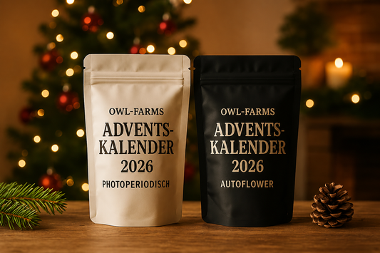 OWL-Farms Cannabis Samen Adventskalender Gemischt Edition S – 76 Samen, 26 Sorten, Autoflower & Photoperiodisch, 24 nummerierte Tütchen