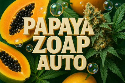 Papaya Zoap Auto