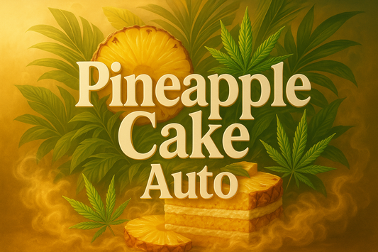 Pineapple Cake Auto