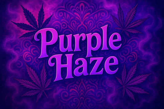 Purple Haze