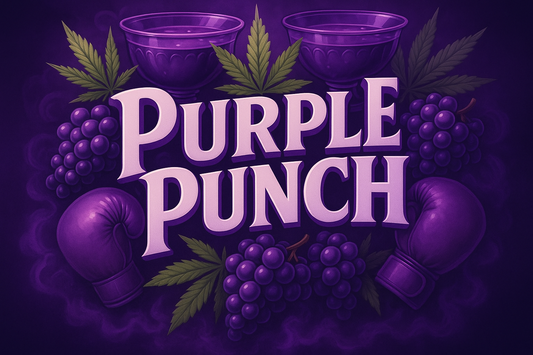 Purple Punch Auto