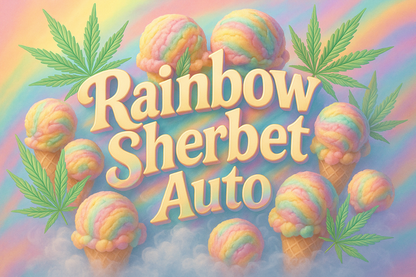 Rainbow Sherbet Auto