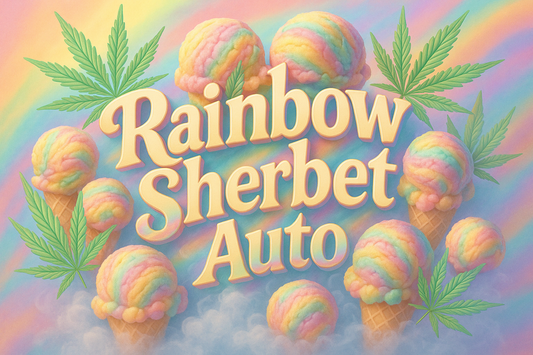Rainbow Sherbet Auto