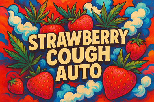 Strawberry Cough Auto Colorful