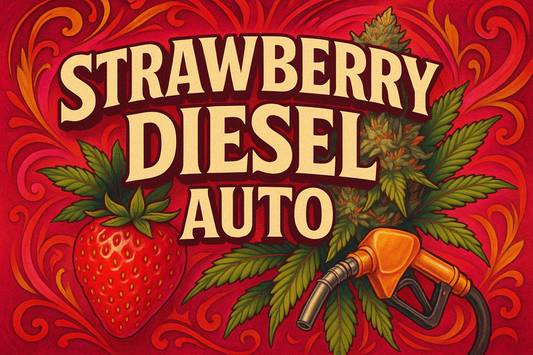 Strawberry Diesel Auto