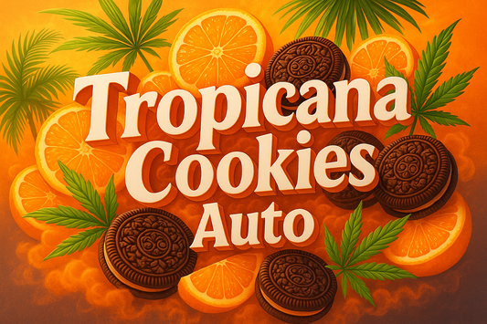 Tropicana Cookies Auto