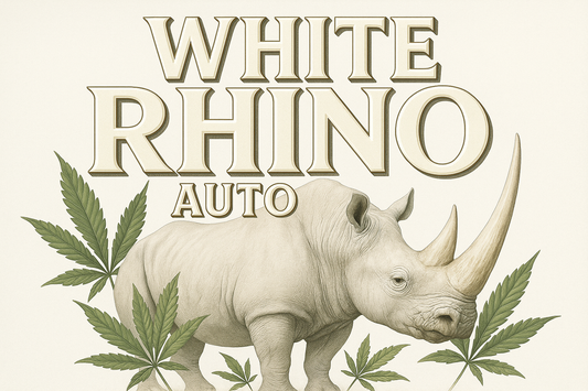 White Rhino Auto