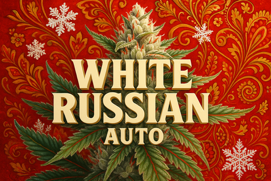 White Russian Auto Photorealistic