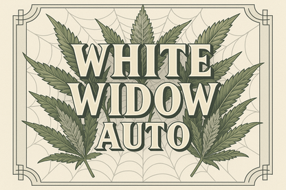 White Widow Auto Classic