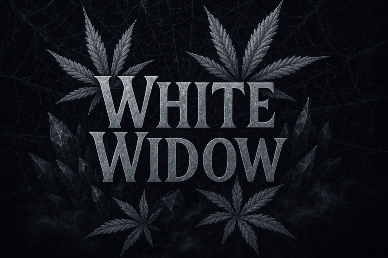 White Widow