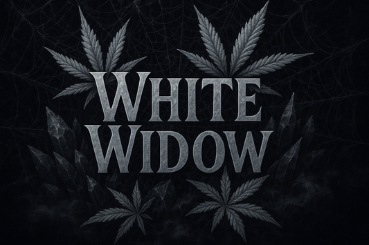 White Widow